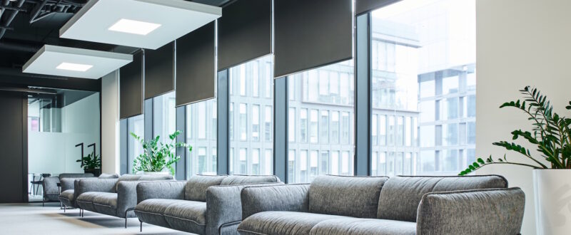 spacious waiting lounge with grey and comfortable couches, green natural plants and large windows in
